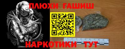 шишки Жуковский