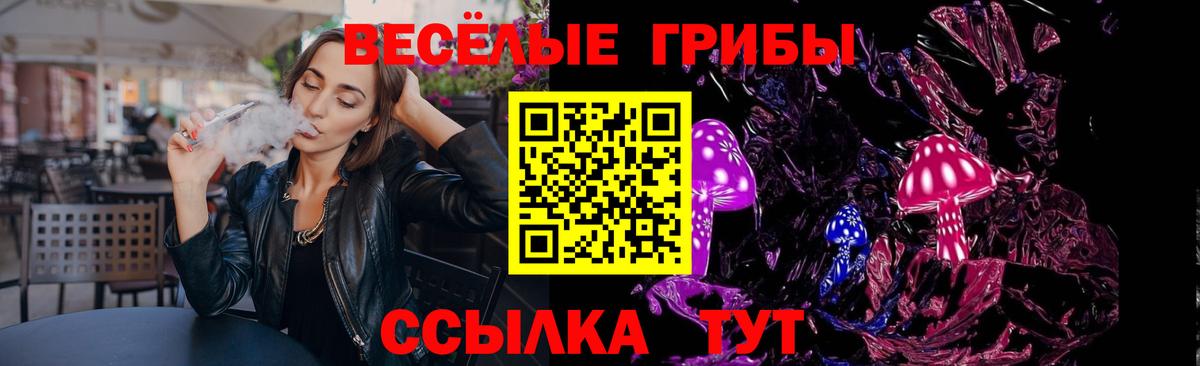 Псилоцибиновые грибы GOLDEN TEACHER Миасс